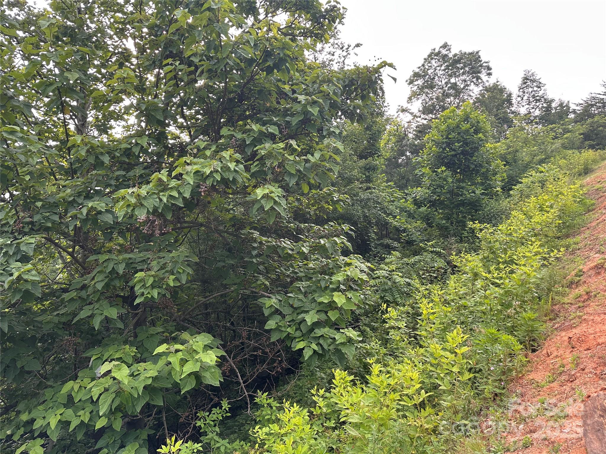 0 Golden Ridge Drive