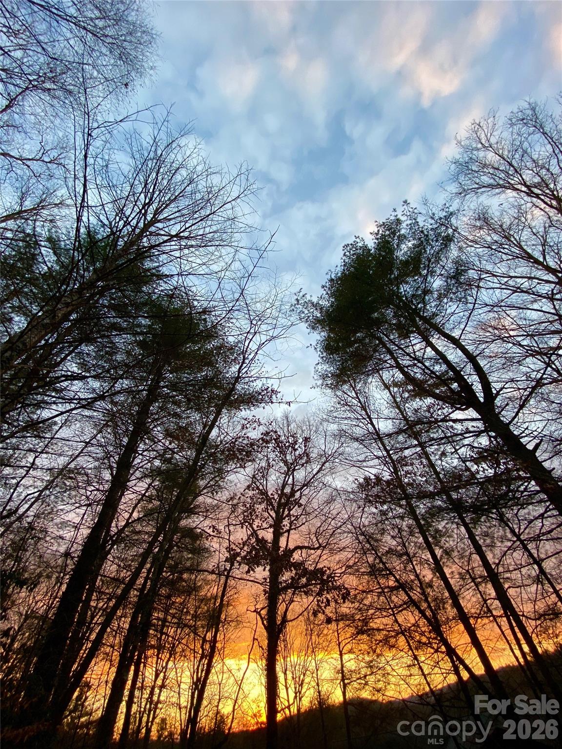 Knob Creek - Residential