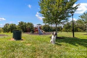 River Stone - Residential