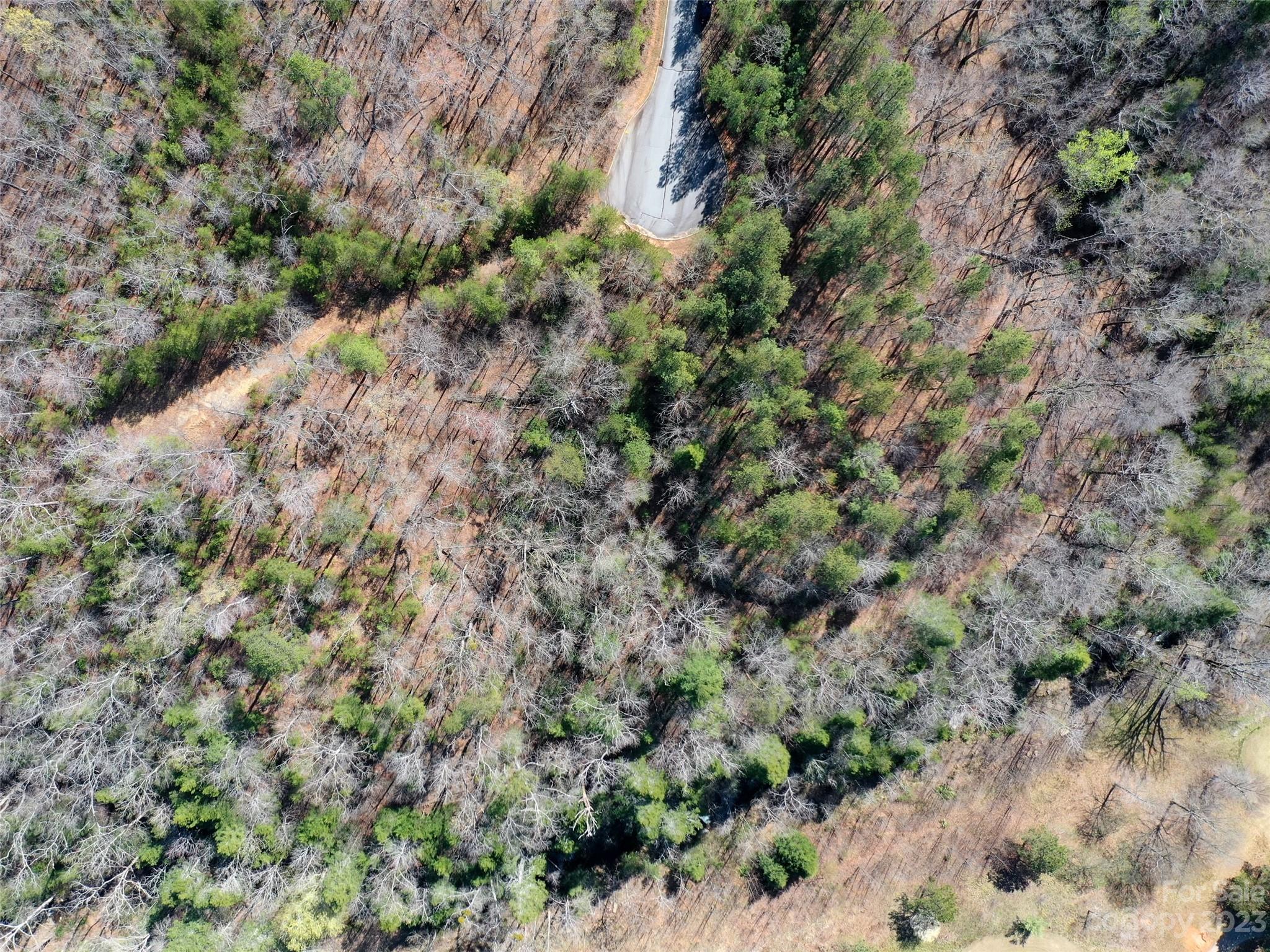 Brights Creek - Land