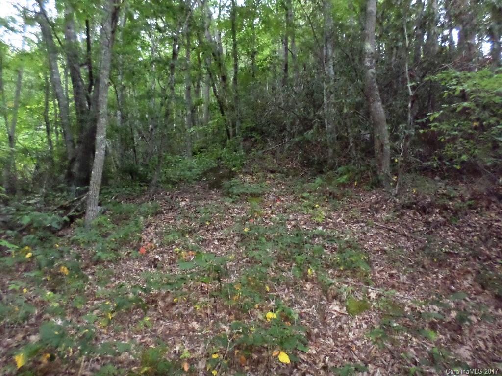 Maggie Valley Country Club Est - Land