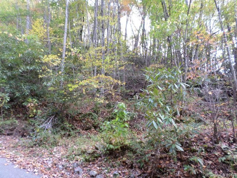 Maggie Valley Country Club Est - Land