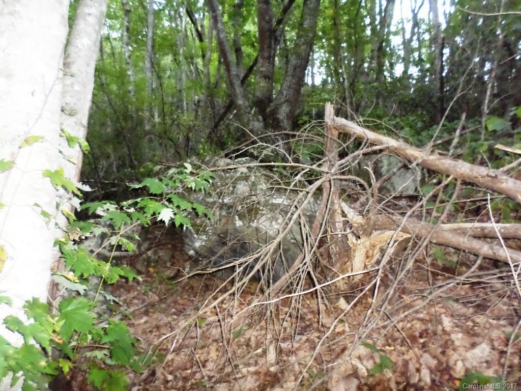 Maggie Valley Country Club Est - Land