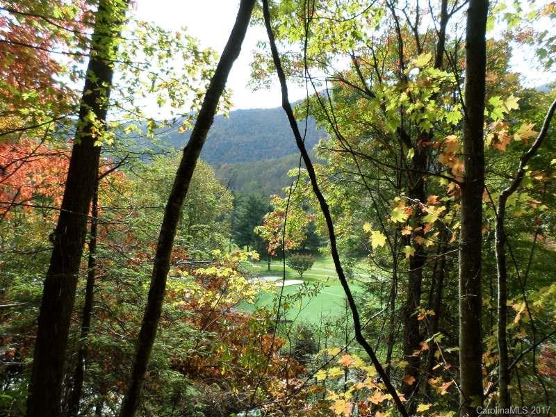 Maggie Valley Country Club Est - Land