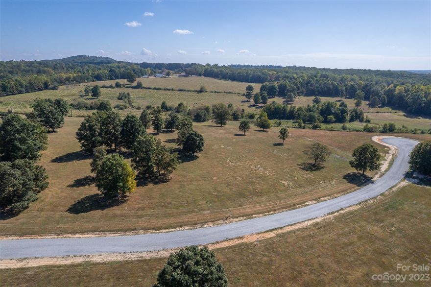 Mountain Views! Mountain Meadows is a newly created gated community in the heart of Tryon Horse Country with nearby FETA trails. It is designed for equestrians but equally suited for anyone who wants some elbow room. Lot 6 is located at the end of a cul-de-sac and features 10.07 acres of gently sloping grassland and shade trees, perfect for horses. There is a stream at the back of the property that runs throughout the year. There are only seven lots in total, each approximately 10 acres, with around 2 miles of pedestrian and equestrian trails within the development. It is handsomely gated to minimize traffic and enhance security. The road will be paved soon, and all utilities are underground. With internet speeds of 100 Mbps, working from home is a breeze. You can have a few chickens, too! The town of Columbus and access to I-26 is only an 8-minute drive, with restaurants, a grocery store, and a hospital. There is additional land available if you desire a 20-acre farm.