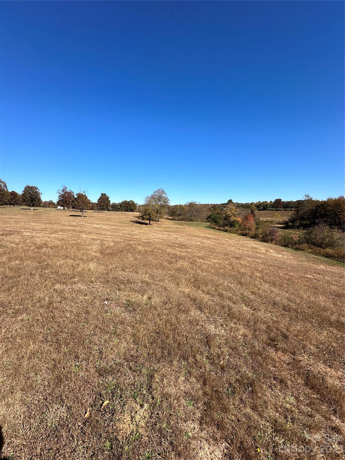Mountain Meadows - Land