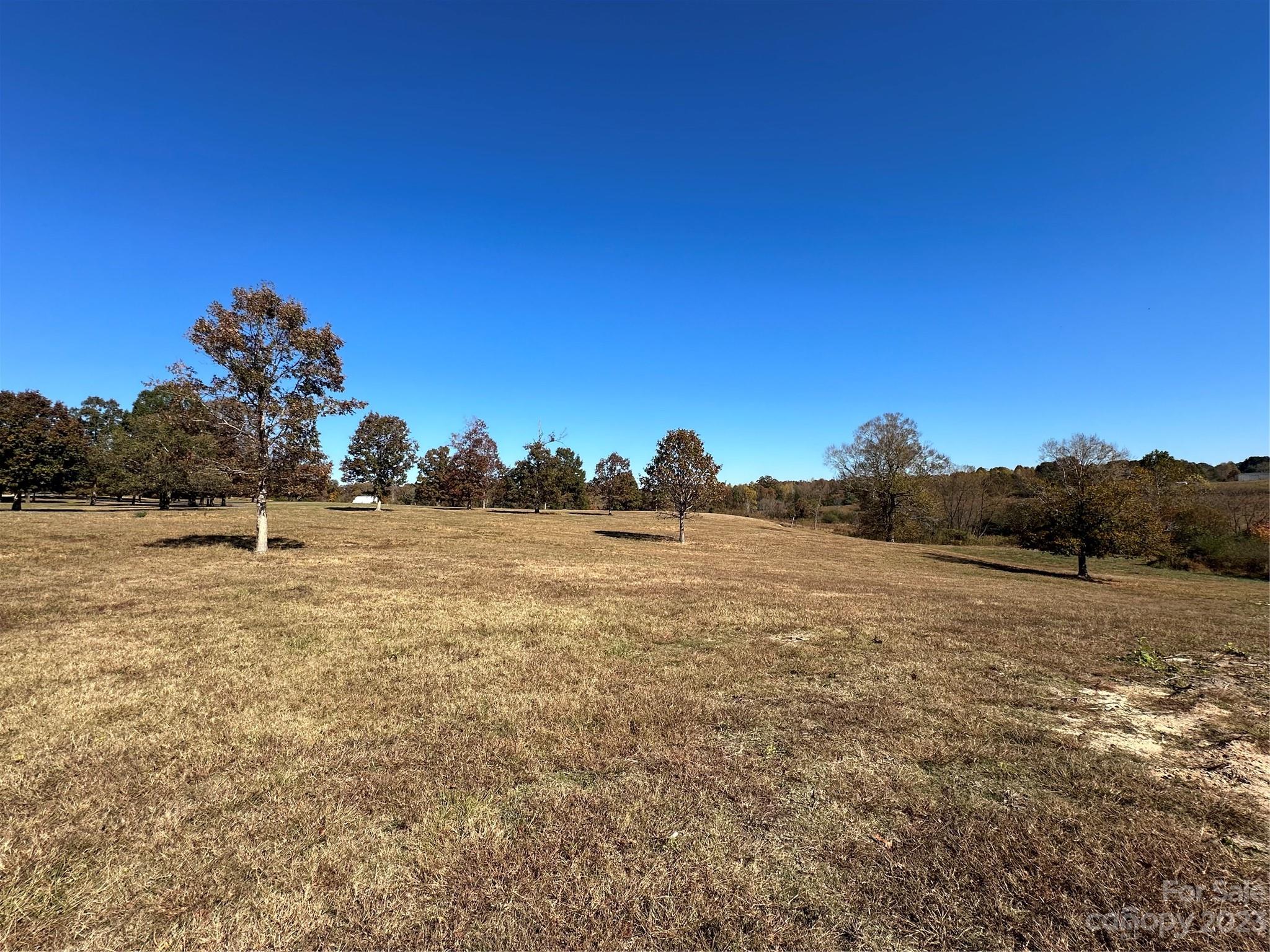 Mountain Meadows - Land