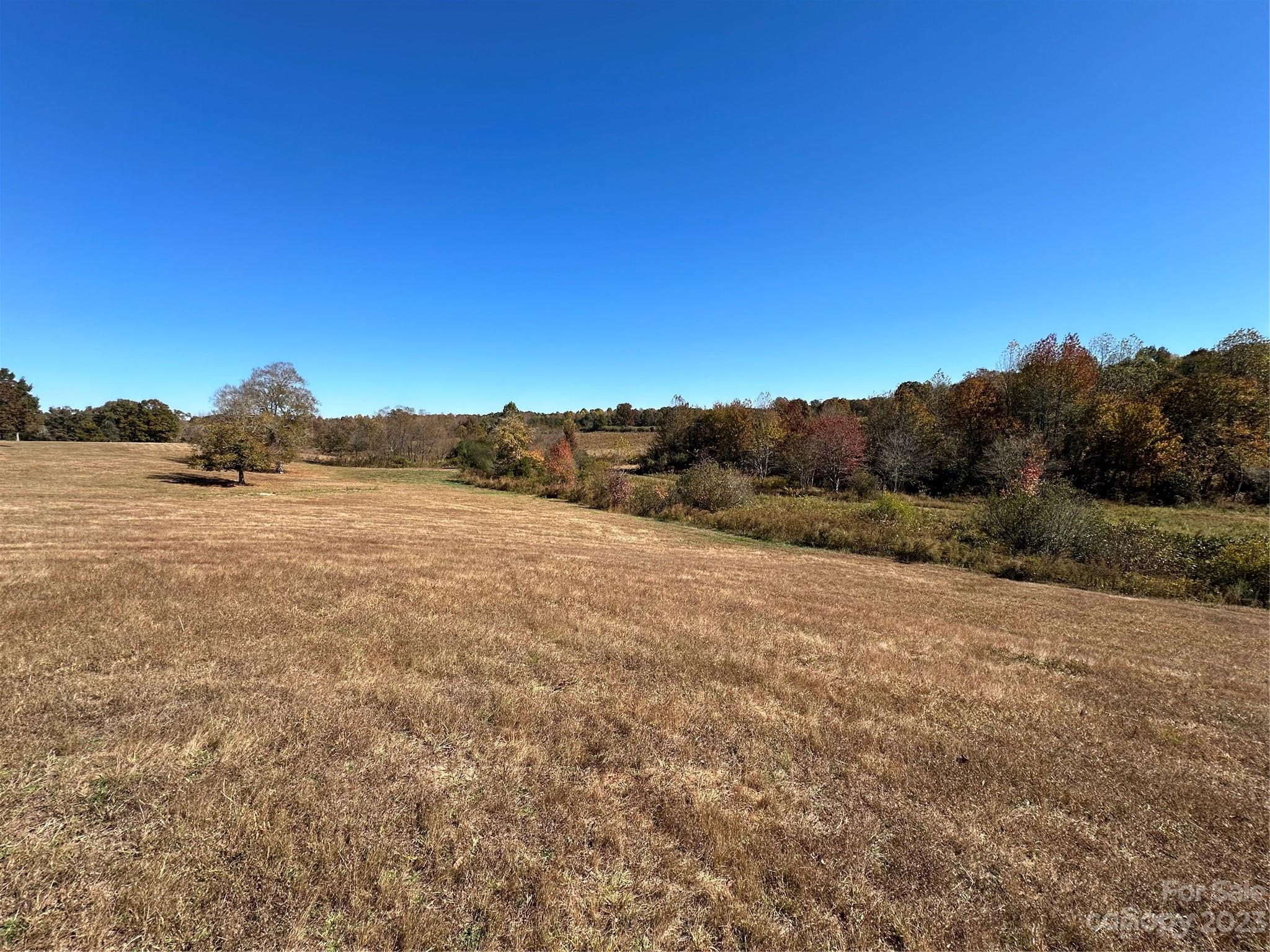 Mountain Meadows - Land