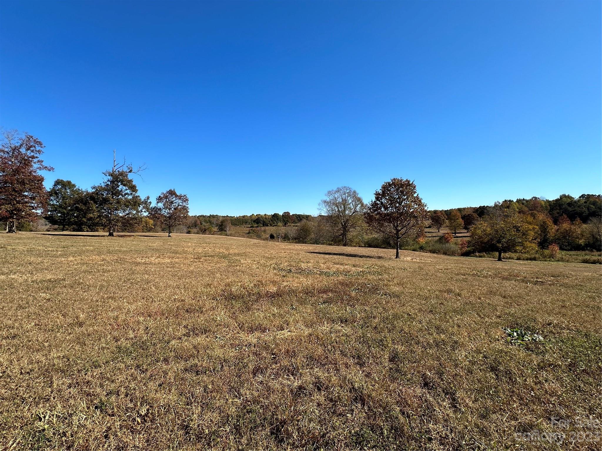 Mountain Meadows - Land