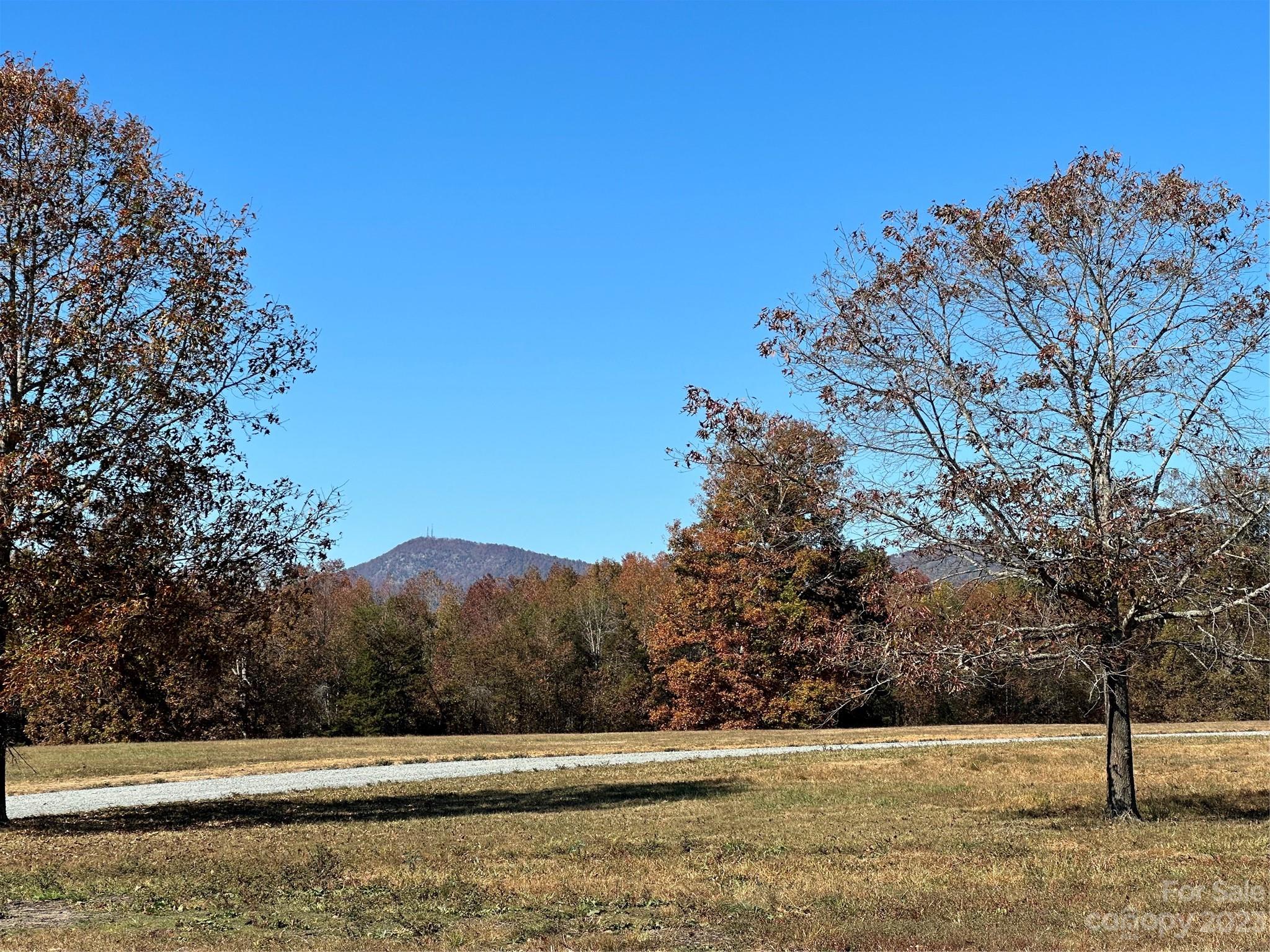 Mountain Meadows - Land