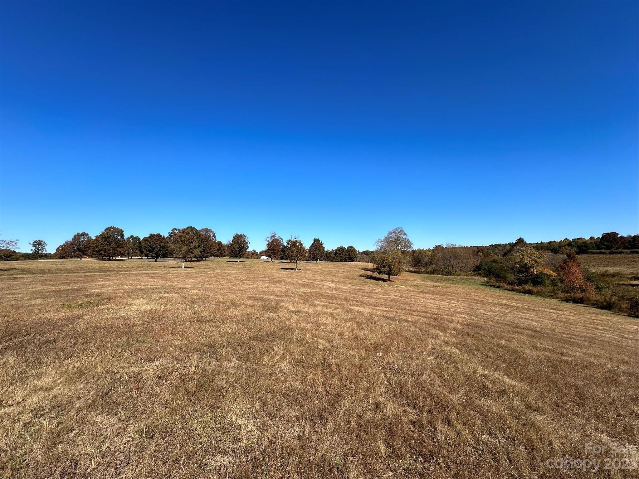 Mountain Meadows - Land