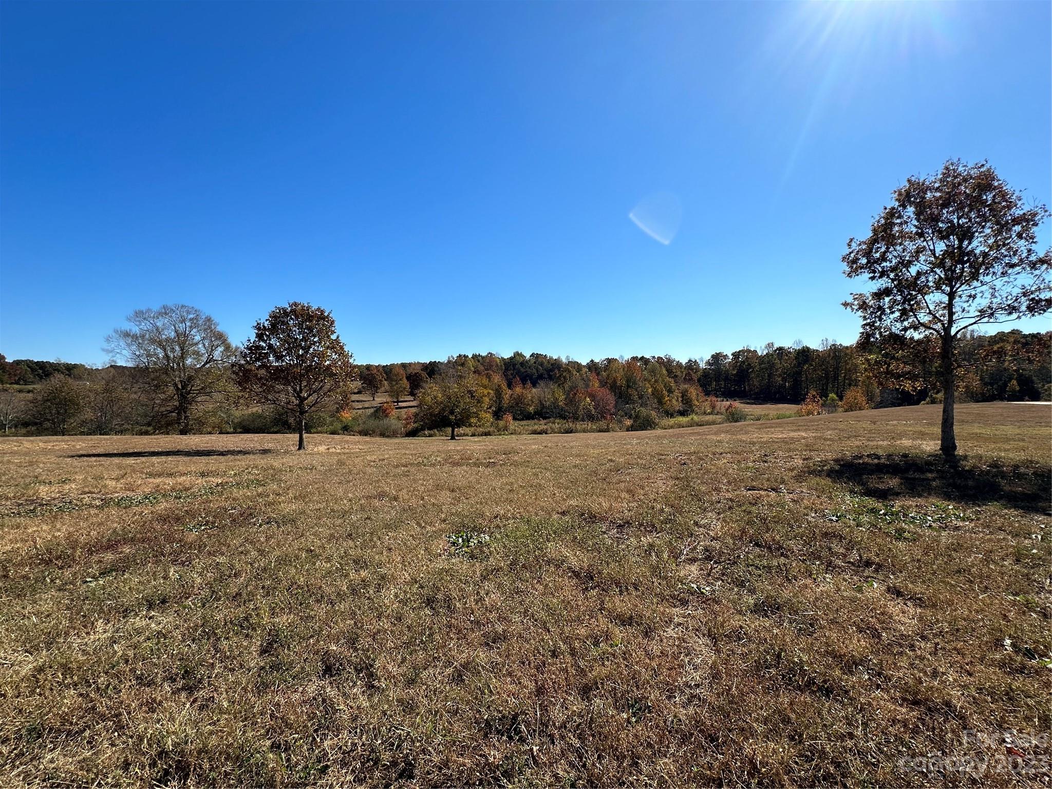 Mountain Meadows - Land