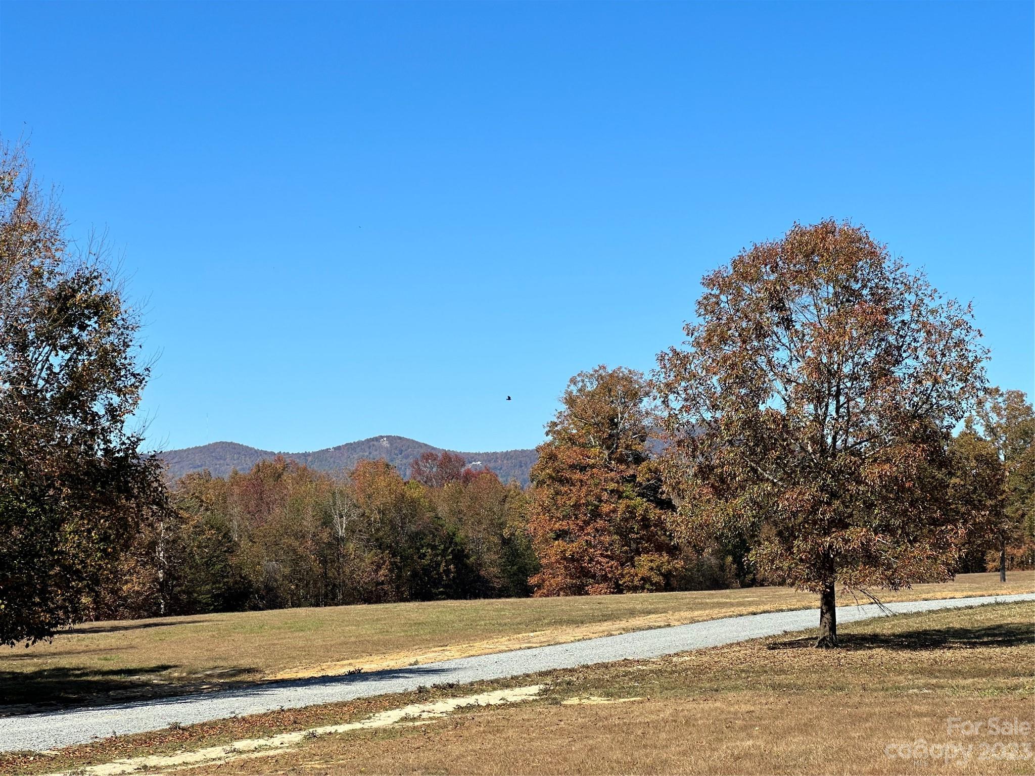 Mountain Meadows - Land