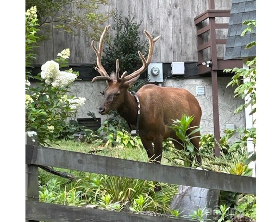 102 Sanctuary Road B