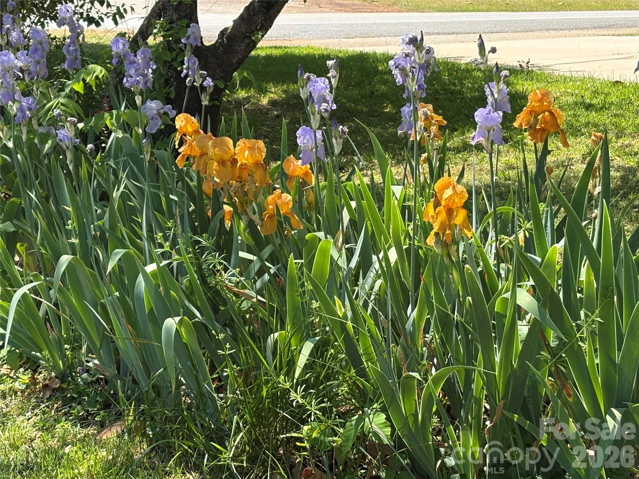 1249 Melvin Hill Road