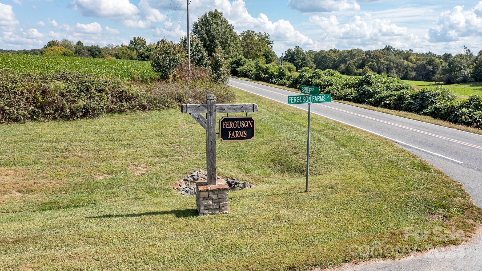 Ferguson Farms - Land