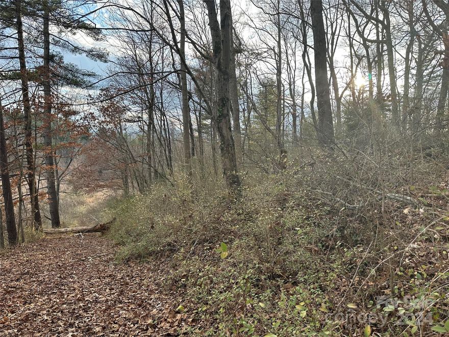 Great location on Brevard Rd close to I40 and I26.  Entry access from both Brevard Rd and Pond Rd. Currently zoned RS8, potential for possible rezoning.  Public utilities at or near site. Property includes 3 tracts will NOT be sold separately.