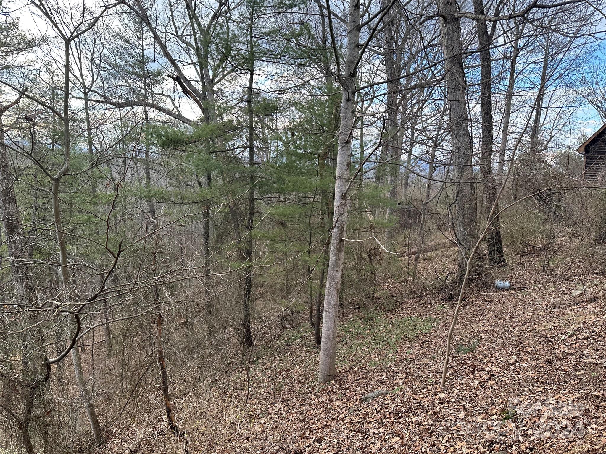 641 Brevard Road