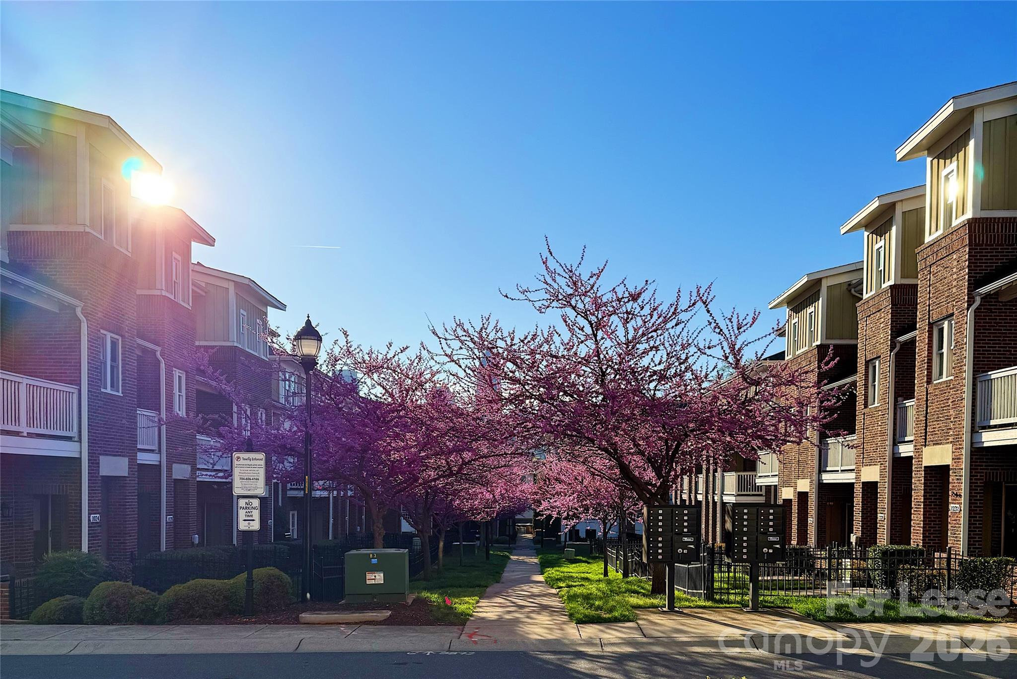 Grandin Heights - Residential Lease