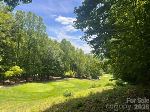115 Bobby Jones Drive 45 Hendersonville NC 28739