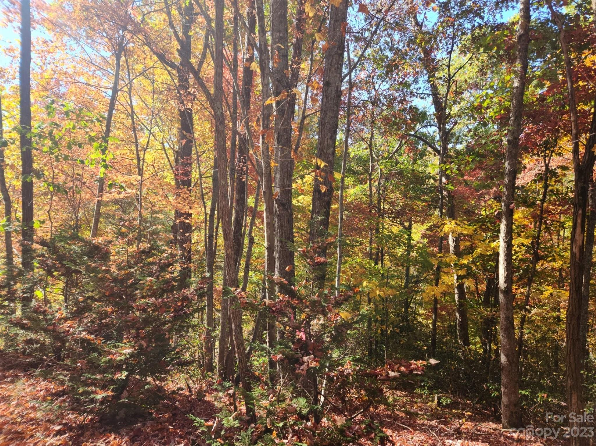 Lake View Estates - Land