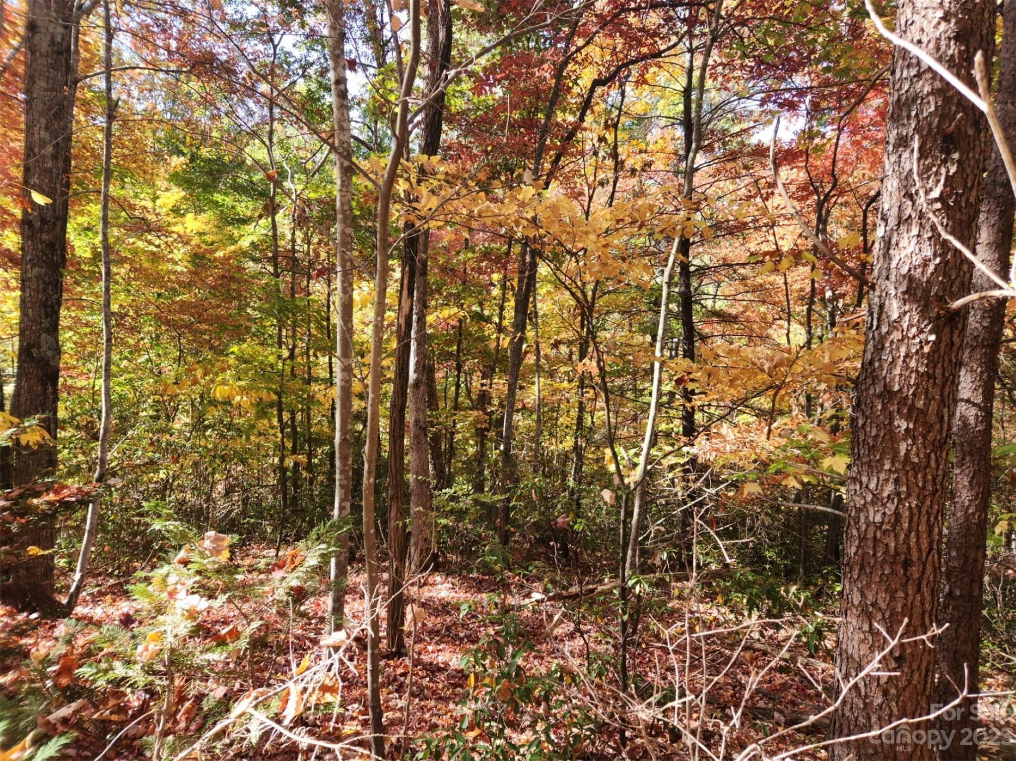 00 Angel of the Lake Drive 17