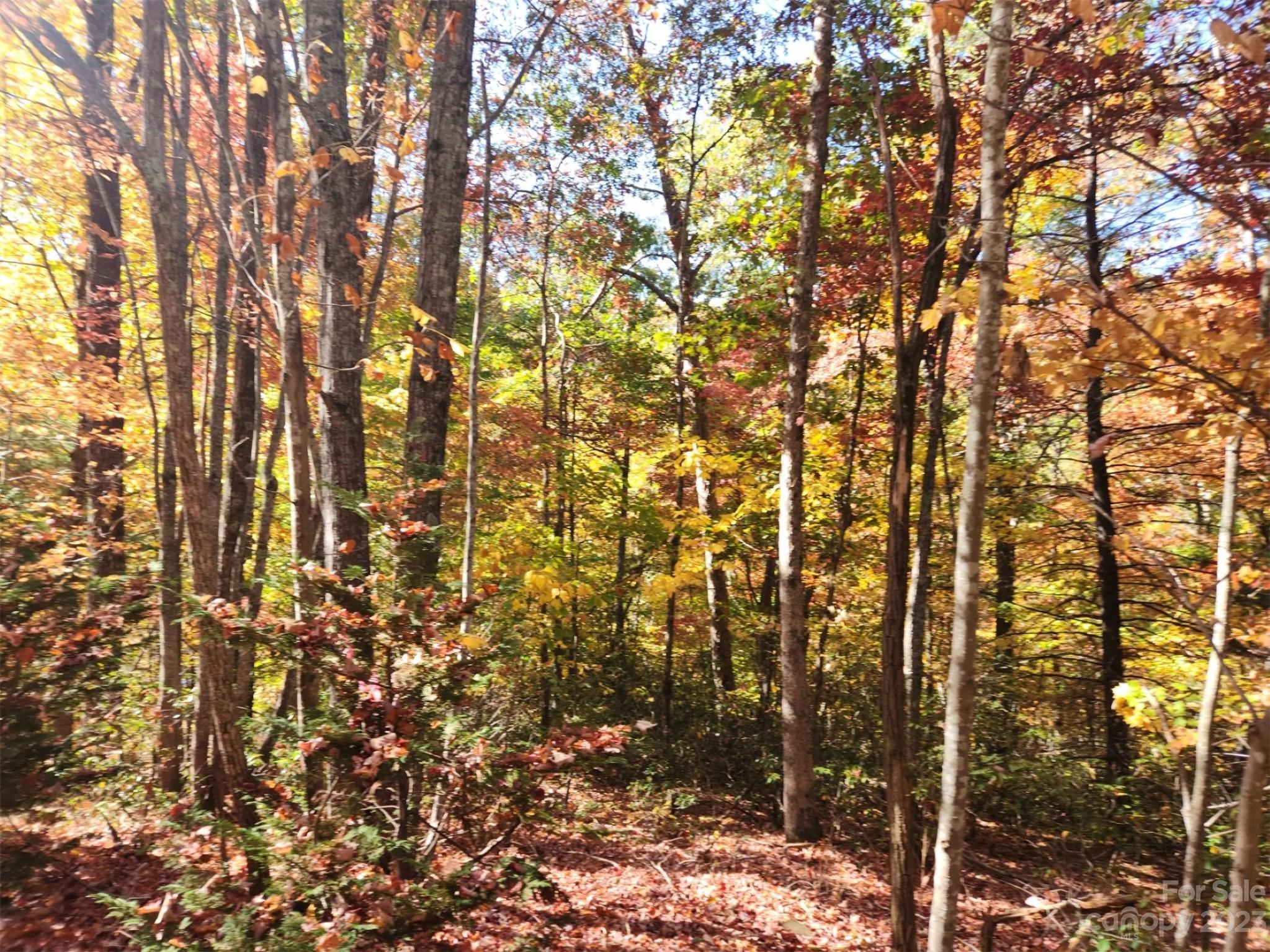 Lake View Estates - Land