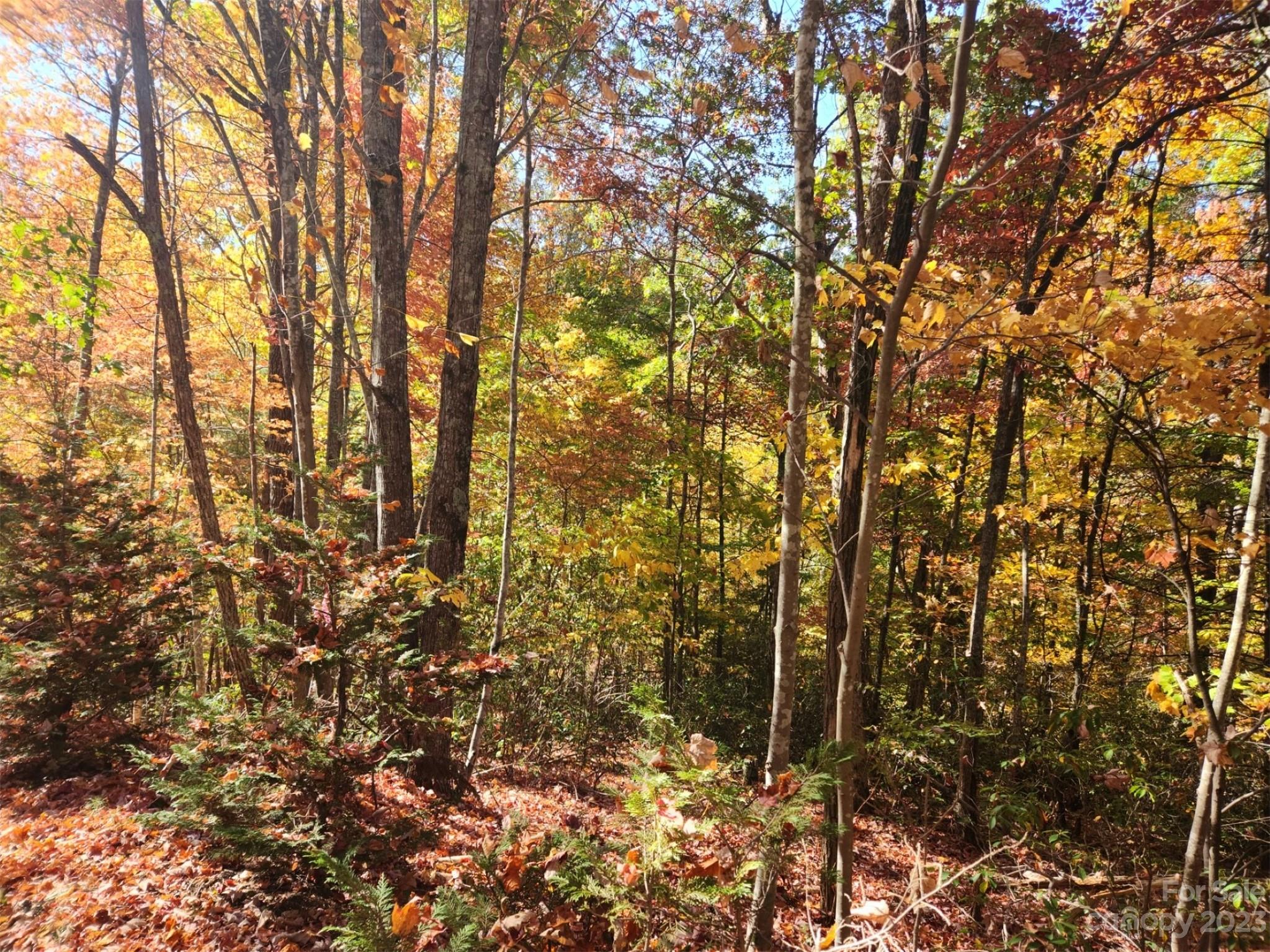 Lake View Estates - Land