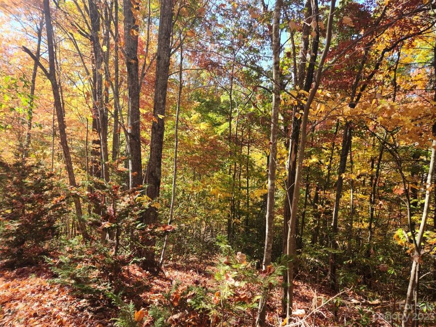 Welcome to Lake View Estates, this beautiful 0.37-acre lot offers winter lake views of Lake Lure.  This property is located within minutes of Downtown Chimney Rock and Lake Lure.  Lake Lure is a 720-acre lake that has a beautiful public beach and designated swimming area. Chimney Rock features the iconic Chimney Rock State Park which features a 315-foot granite monolith which offers stunning panoramic views of Lake Lure and the Hickory Nut Gorge. Come build your home in this beautiful community close to area amenities and attractions.