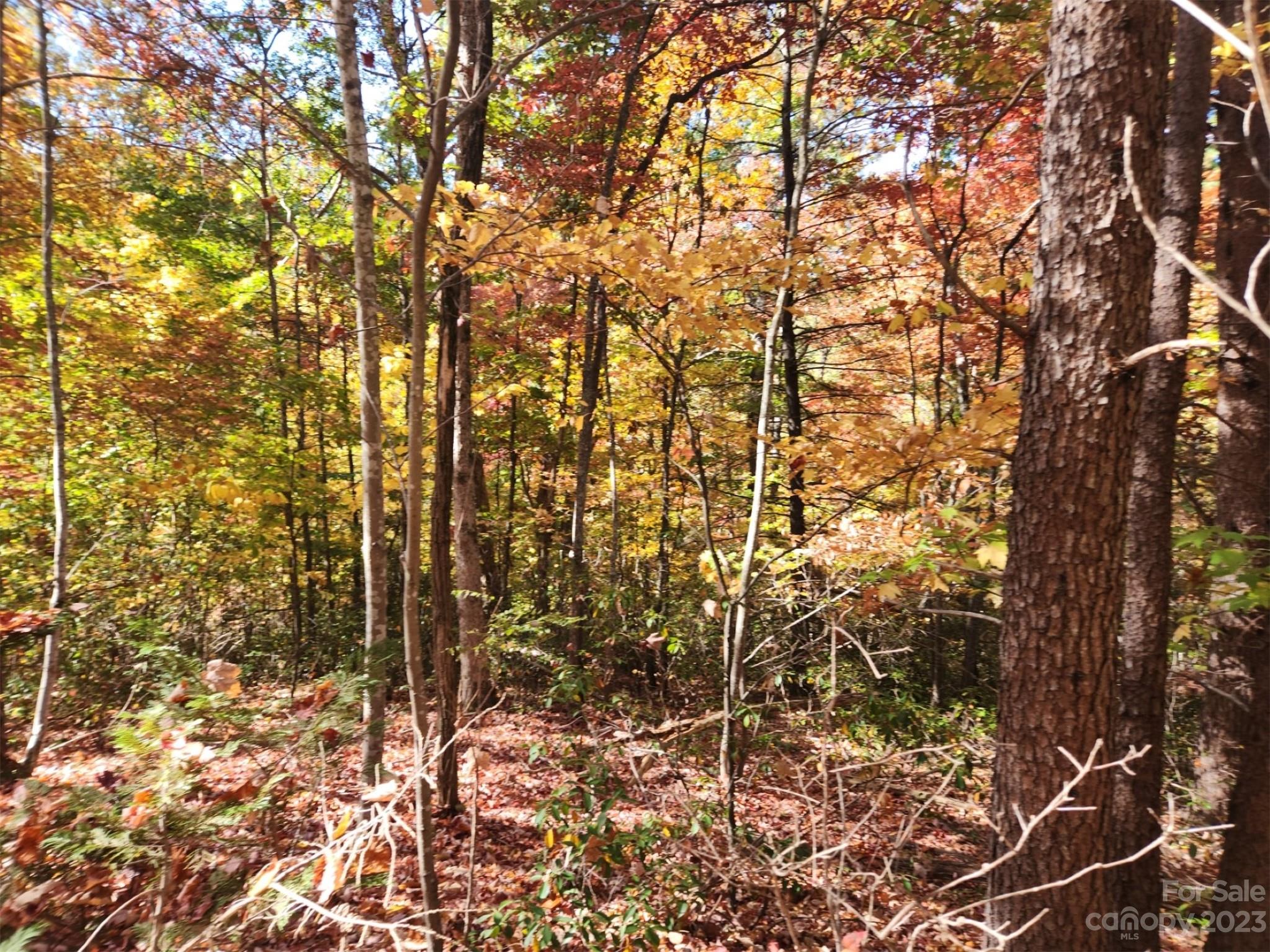 00 Angel of the Lake Drive 17