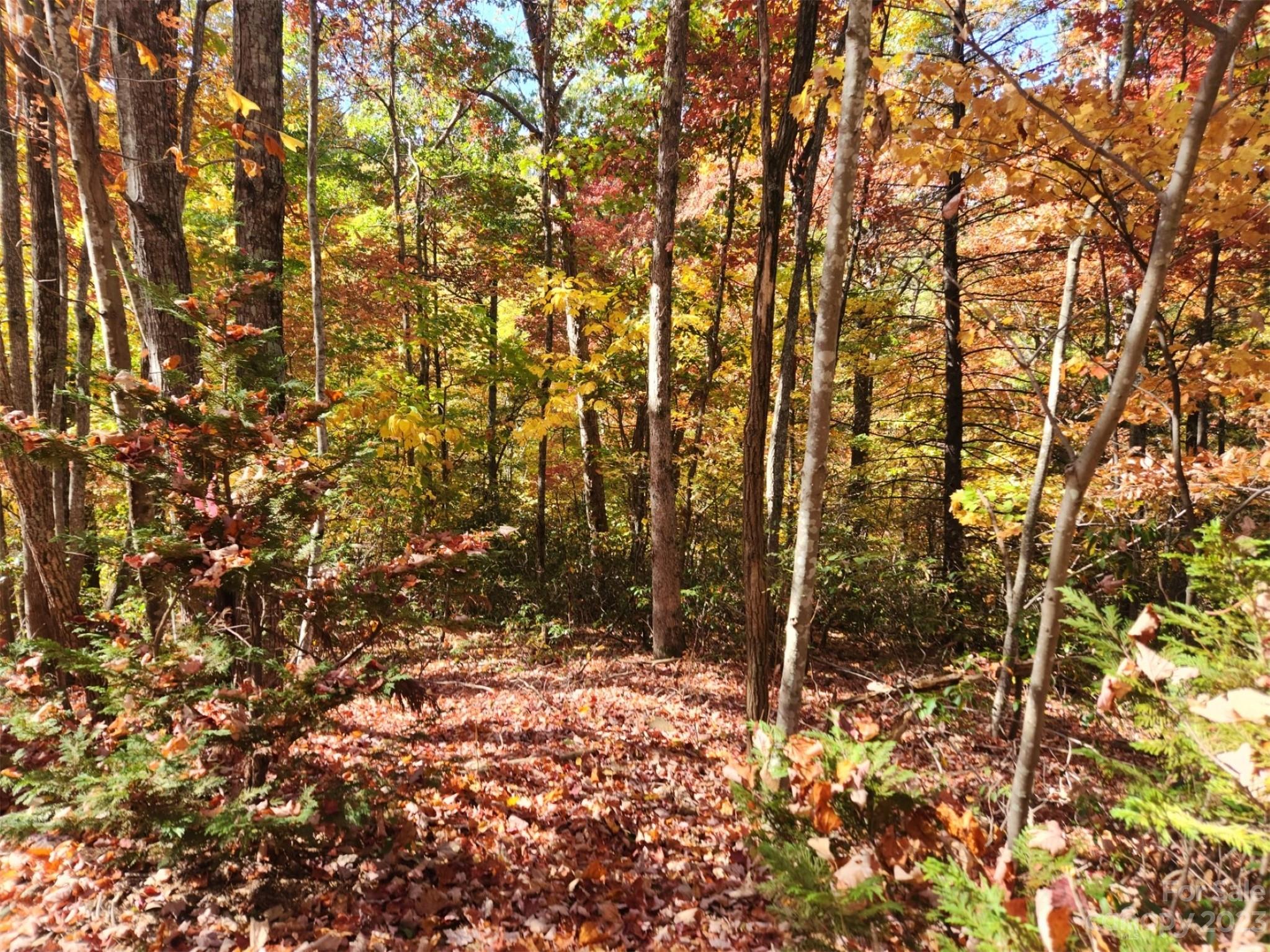 00 Angel of the Lake Drive 17