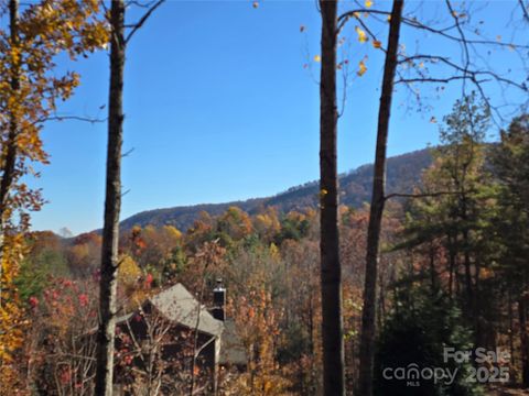 295 S Feather Falls Trail 50 Black Mountain NC 28711