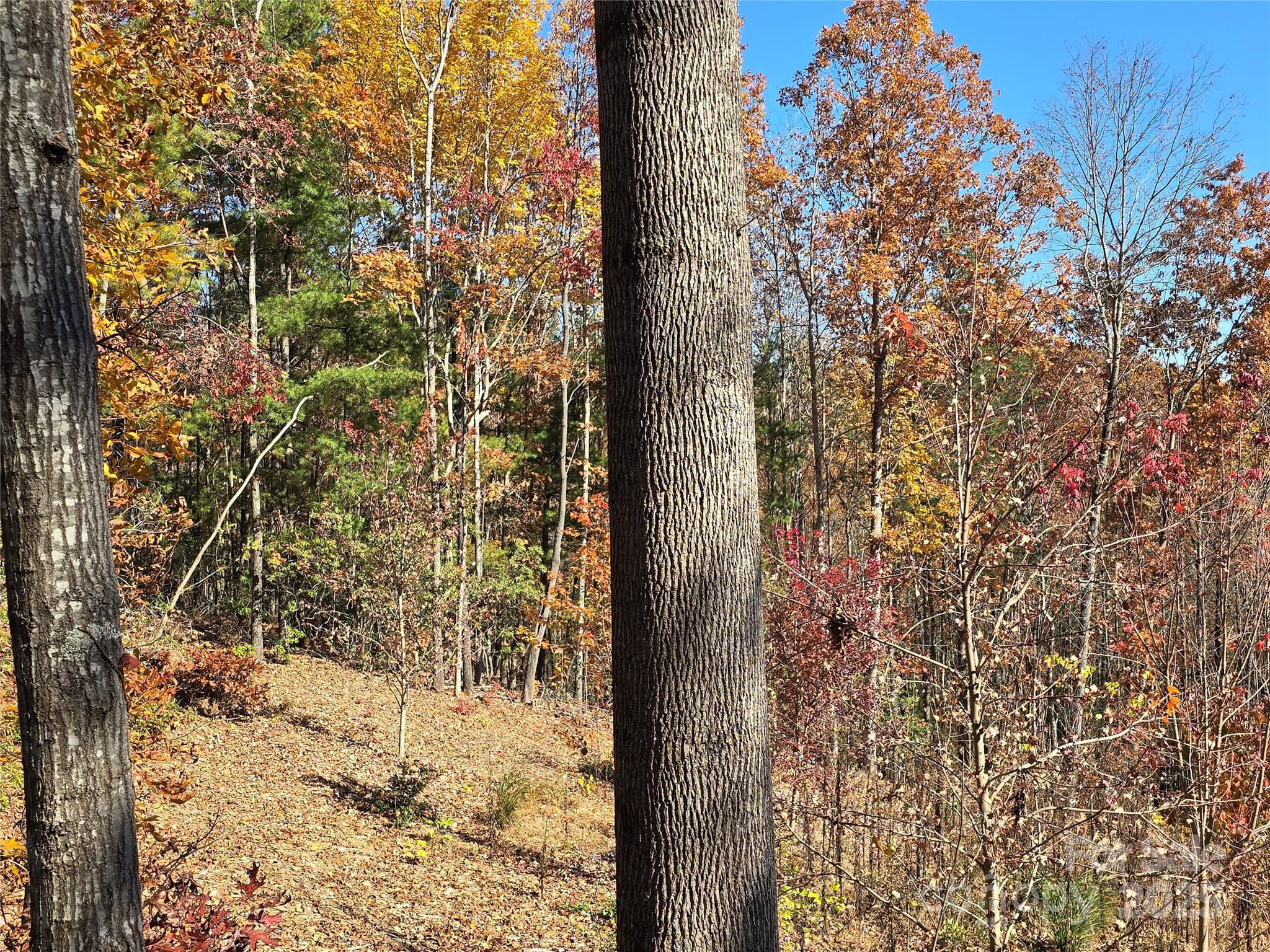 Catawba Falls Preserve - Land