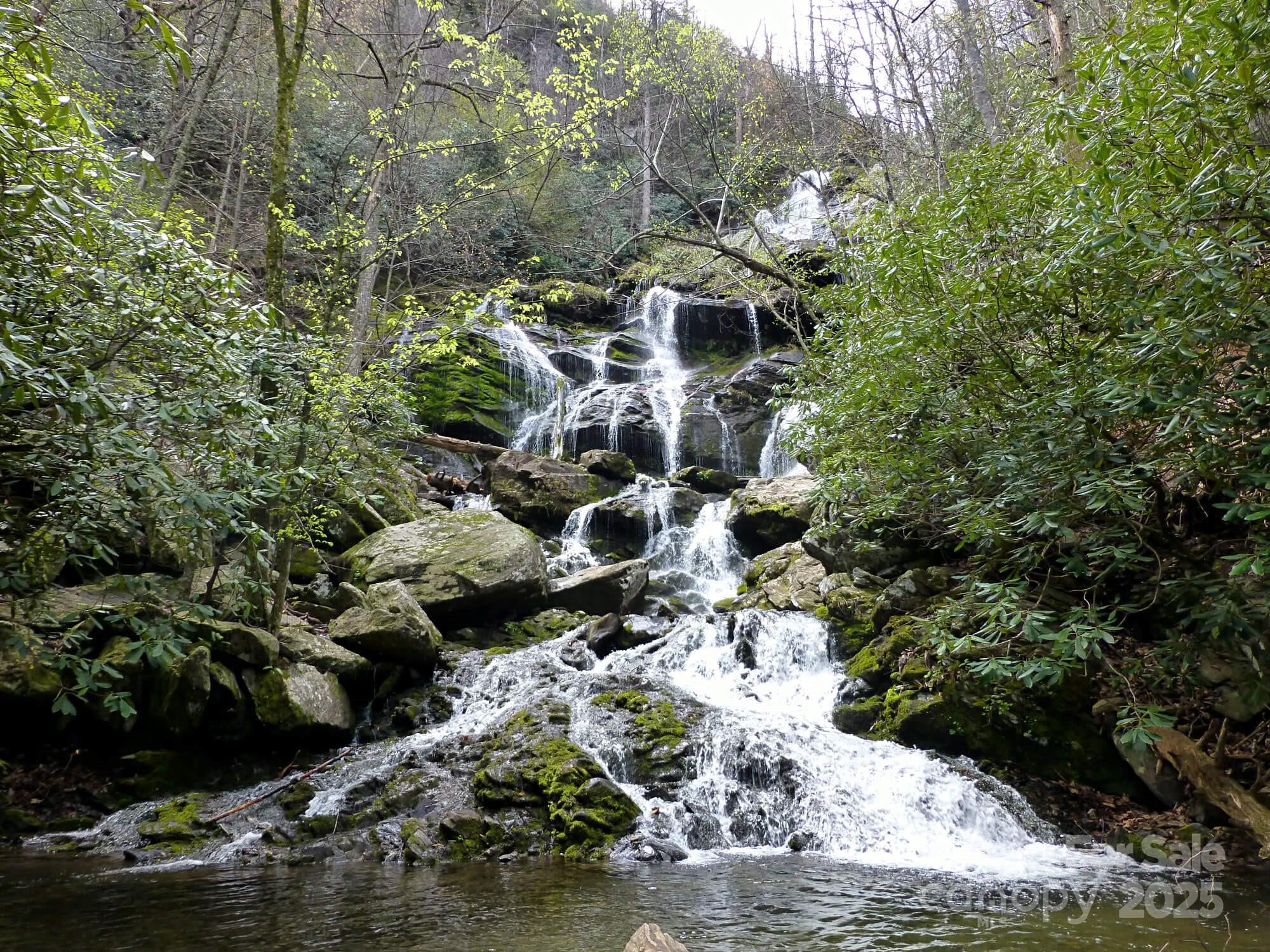 Catawba Falls Preserve - Land
