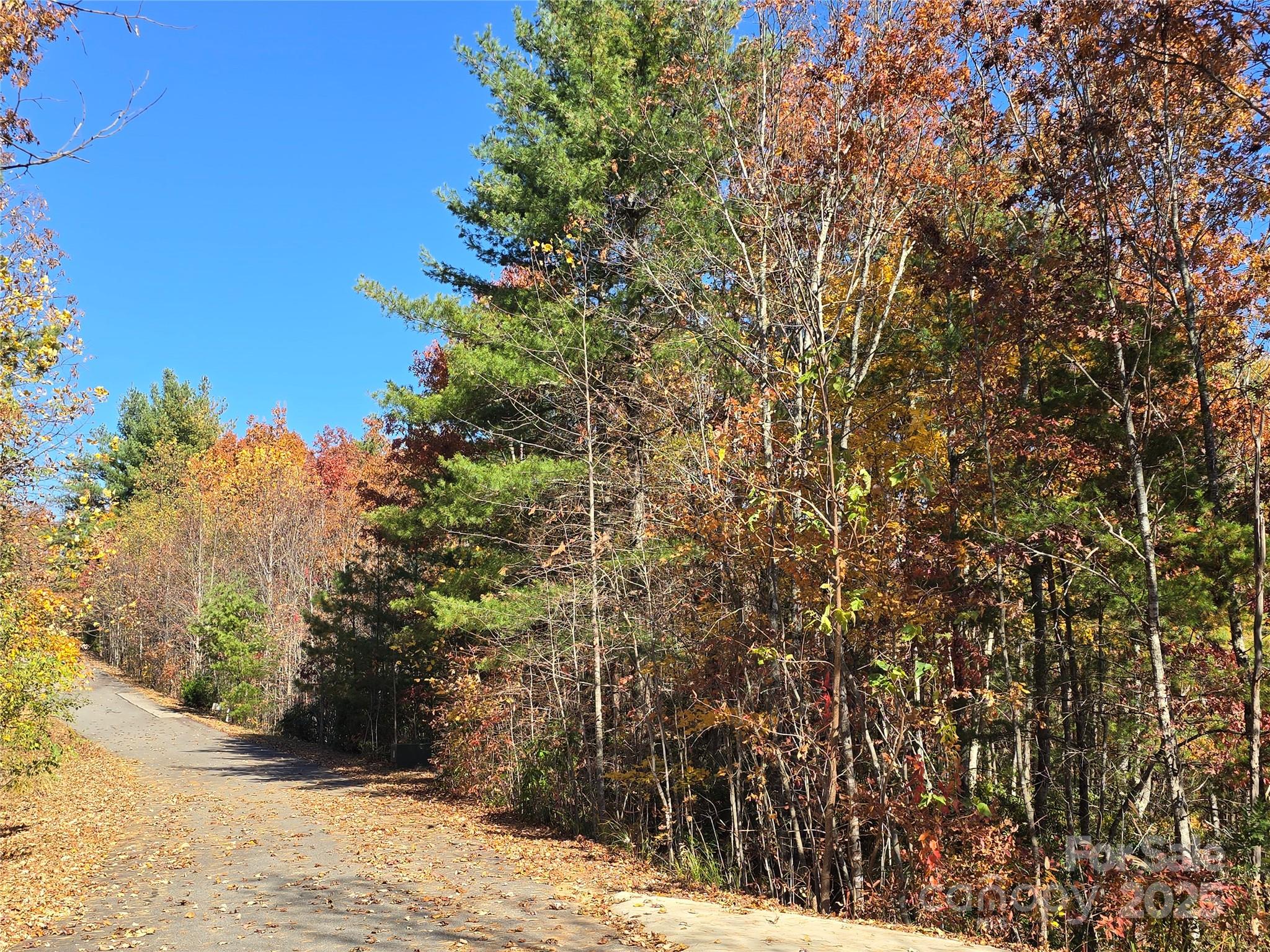 Catawba Falls Preserve - Land