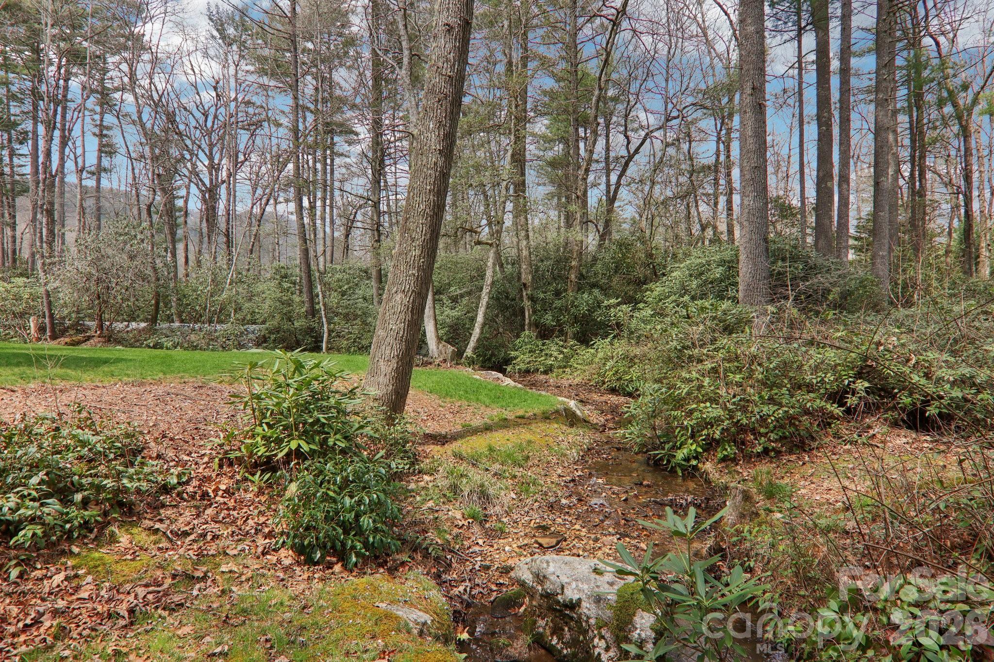 Lake Toxaway Estates - Residential