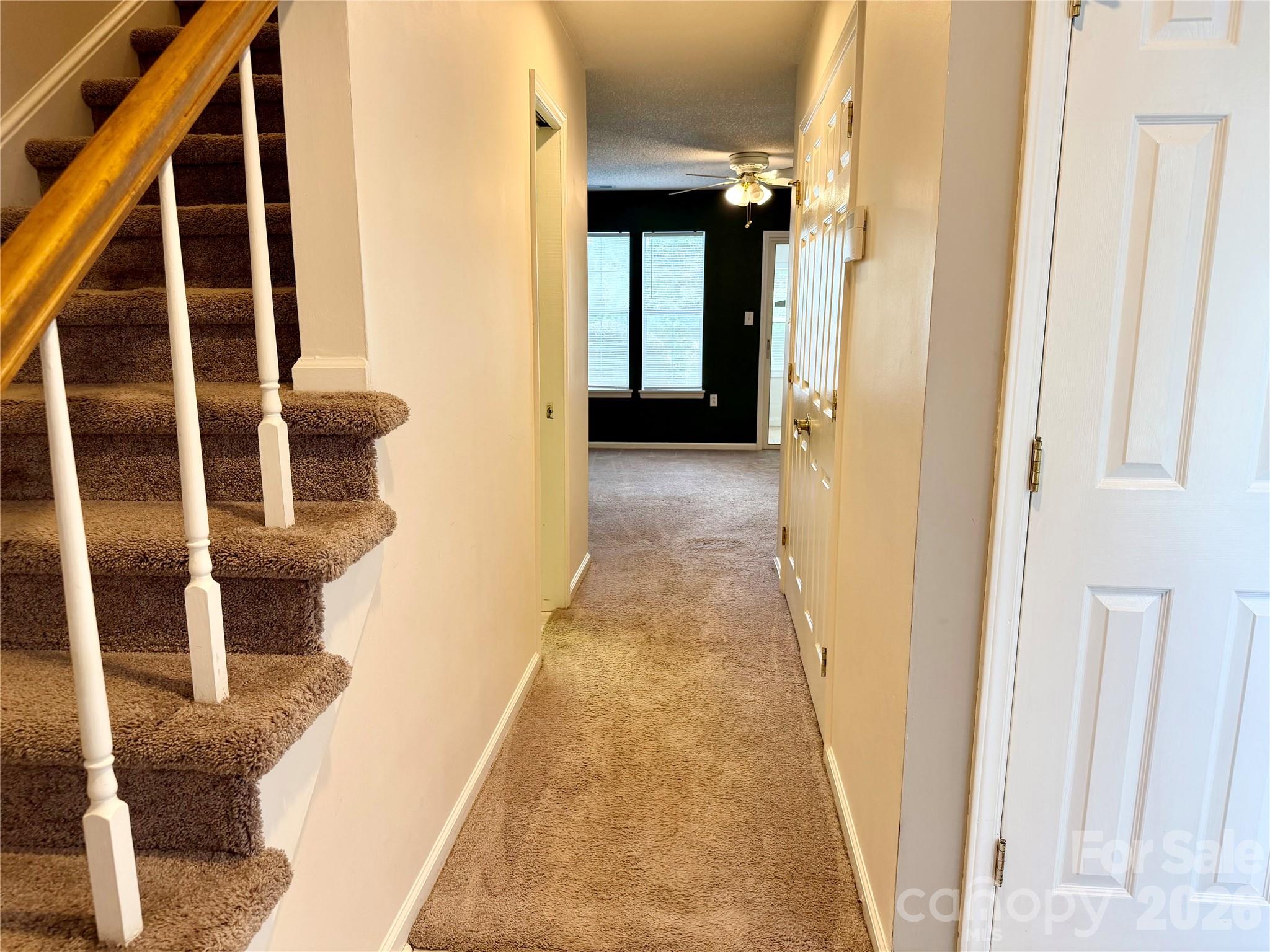 5313 Amity Springs Drive