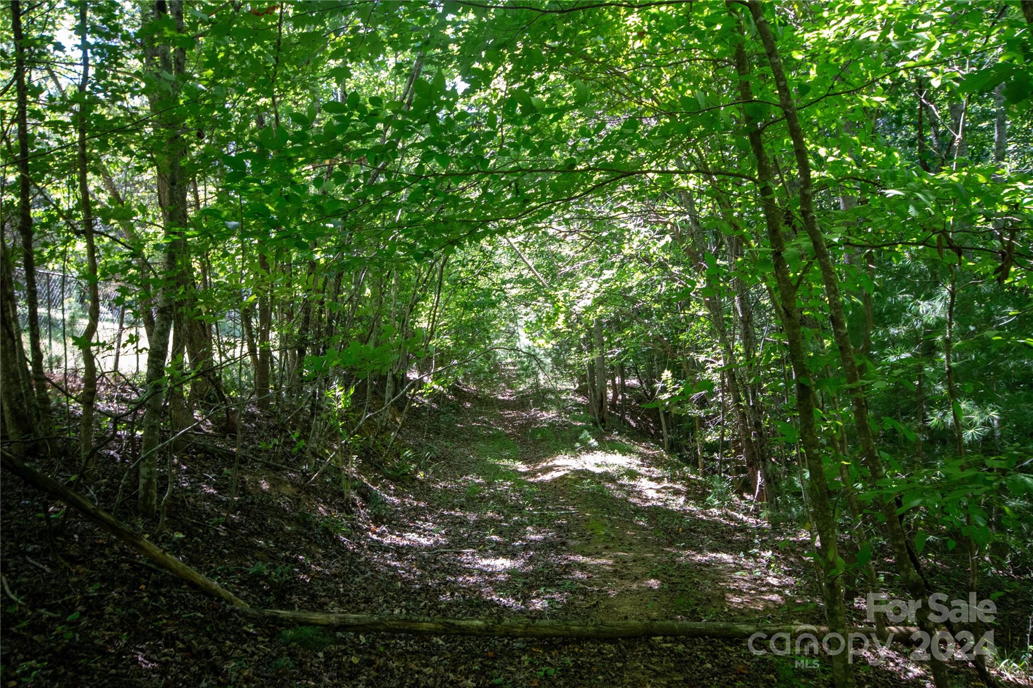 Bradford Forest - Land