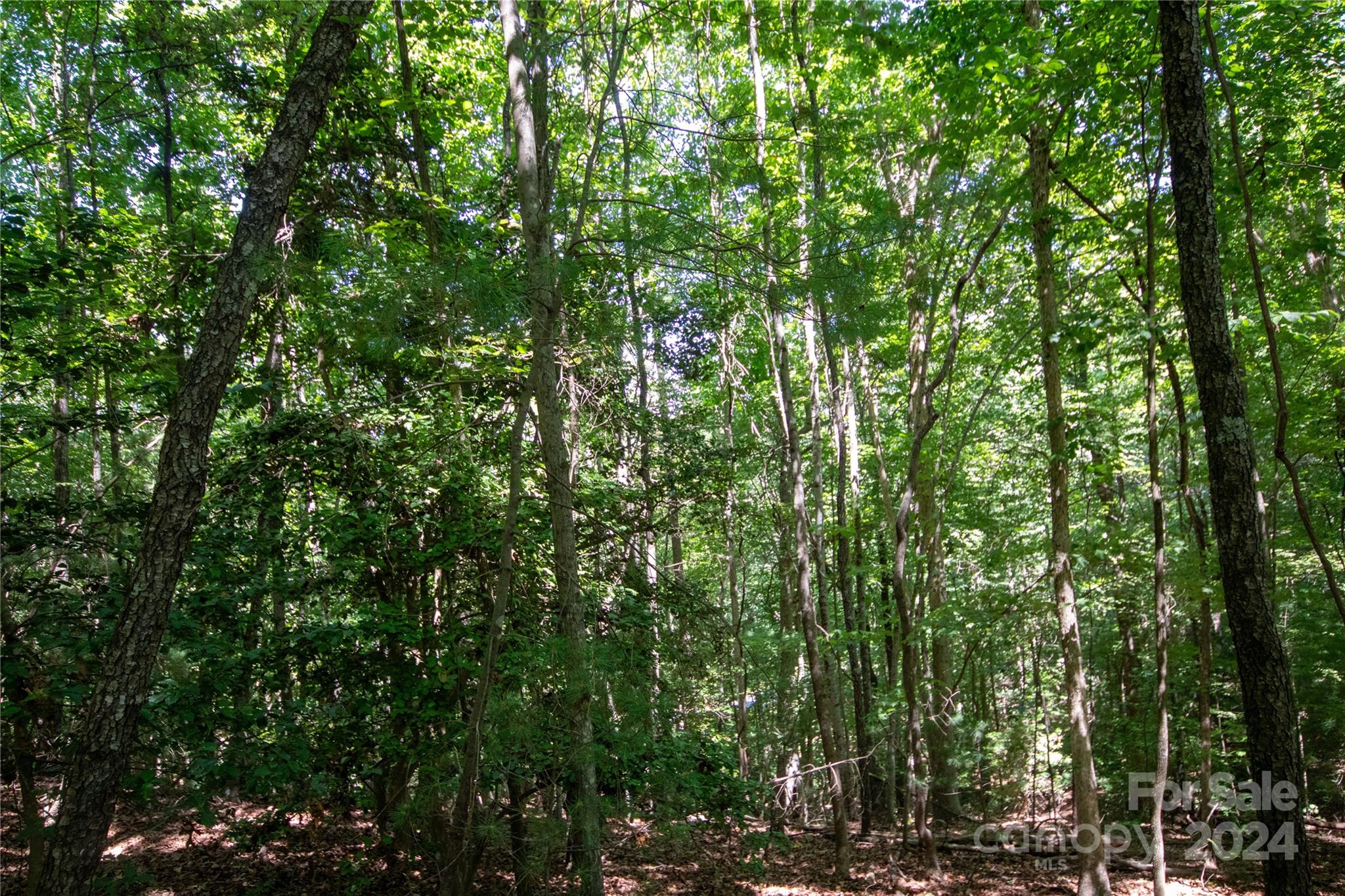 Lot# 24 Brittany Drive