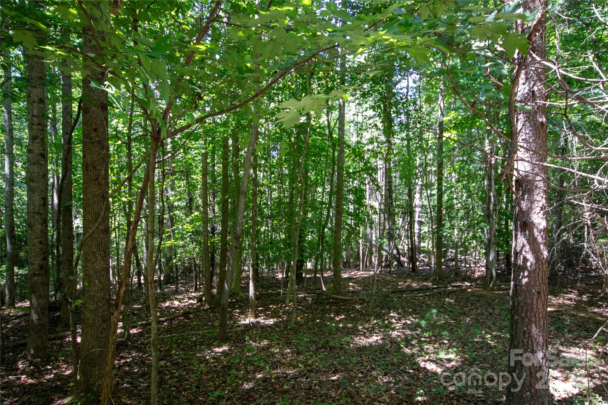 Lot# 24 Brittany Drive