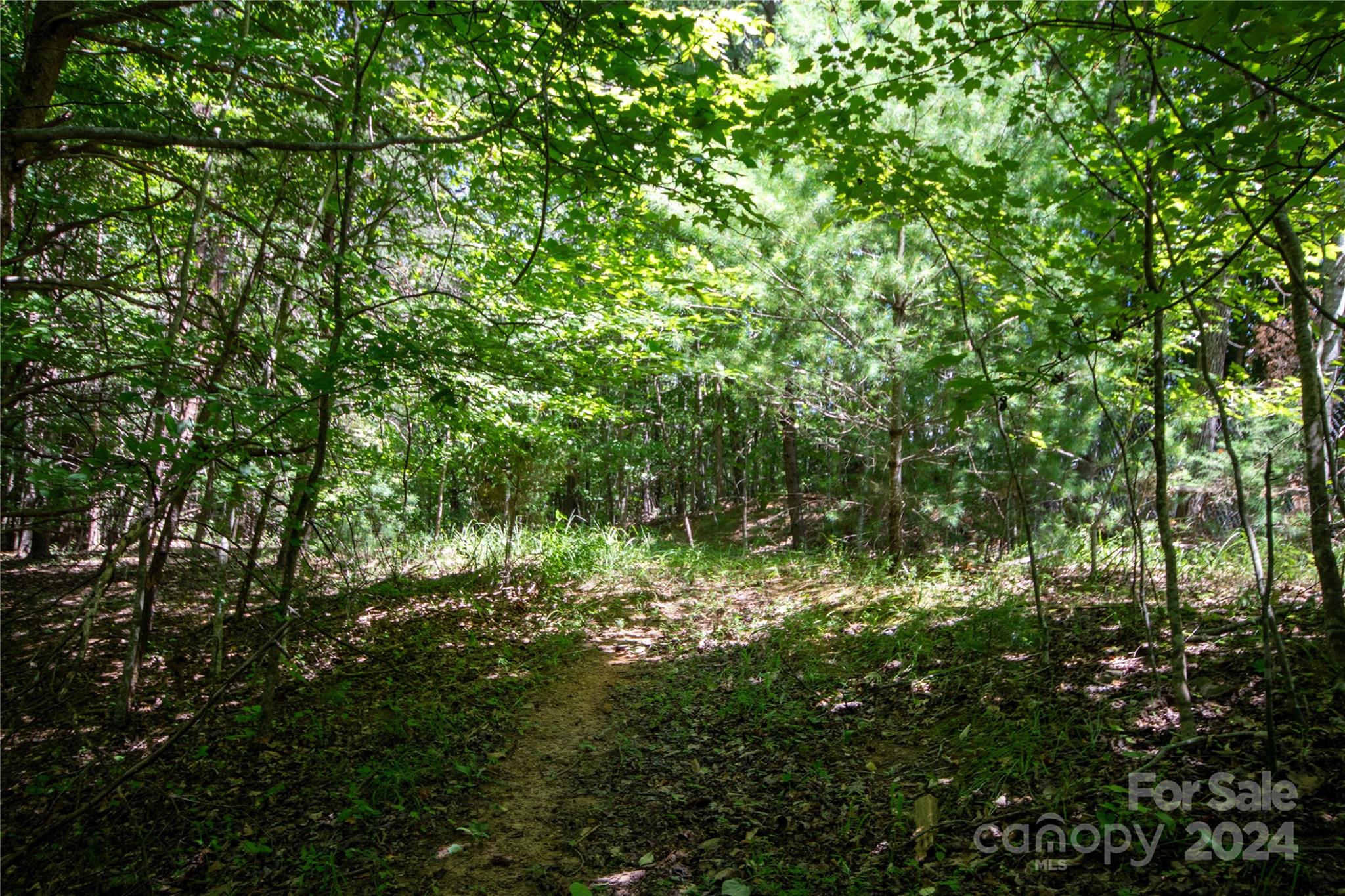 Bradford Forest - Land