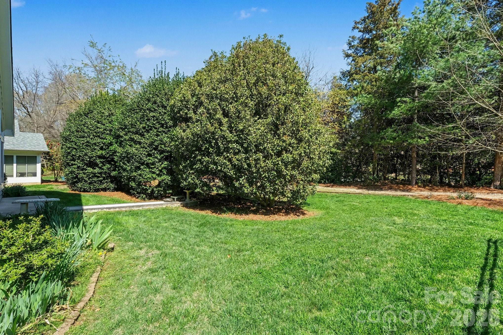 Dunedin - Residential