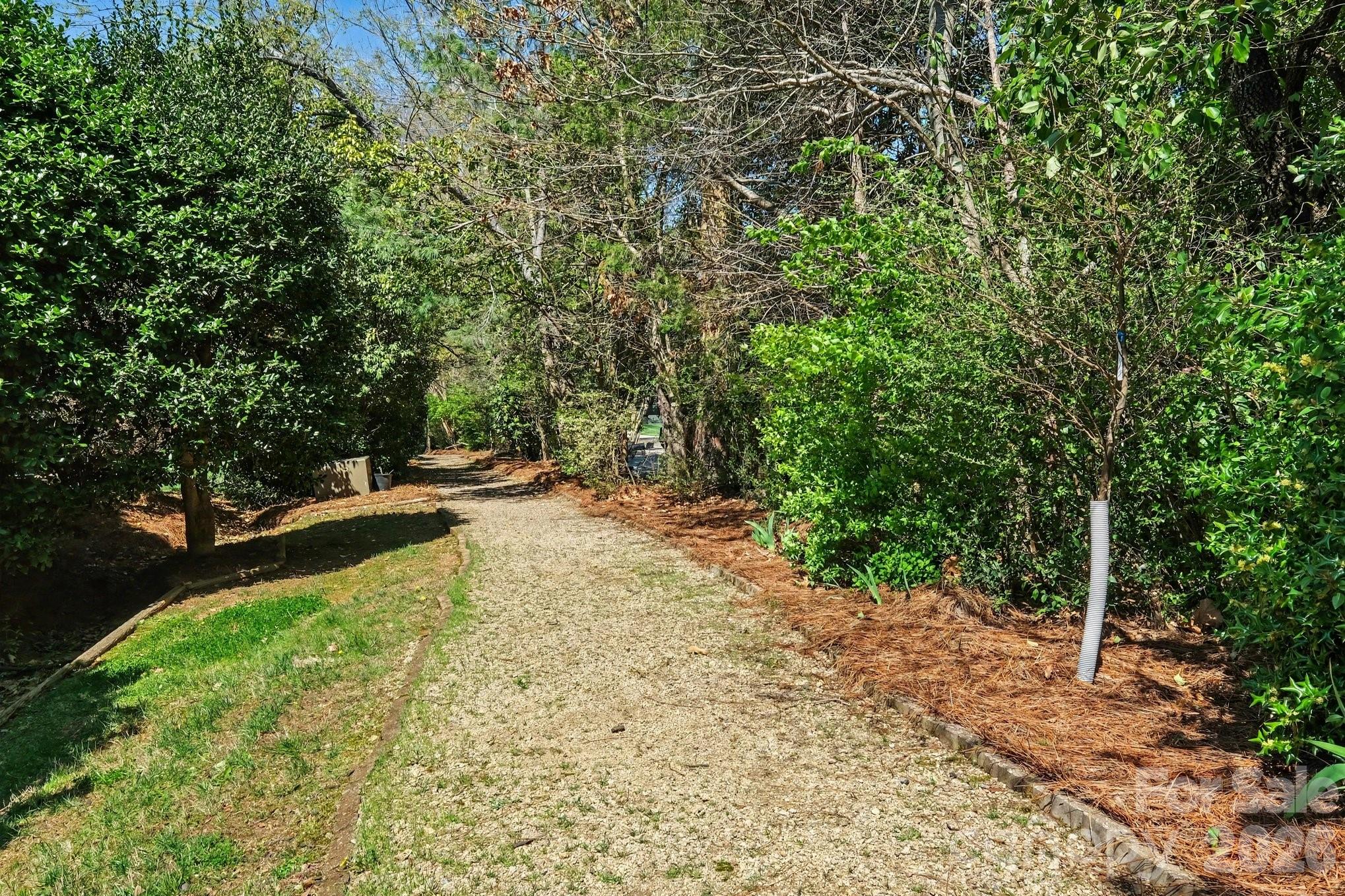 Dunedin - Residential