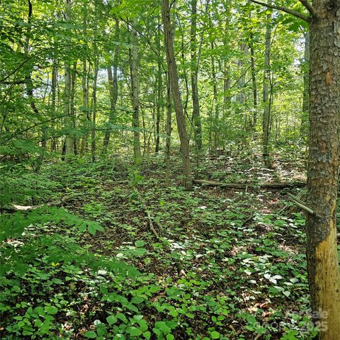 99999 Campground Road Asheville NC 28805