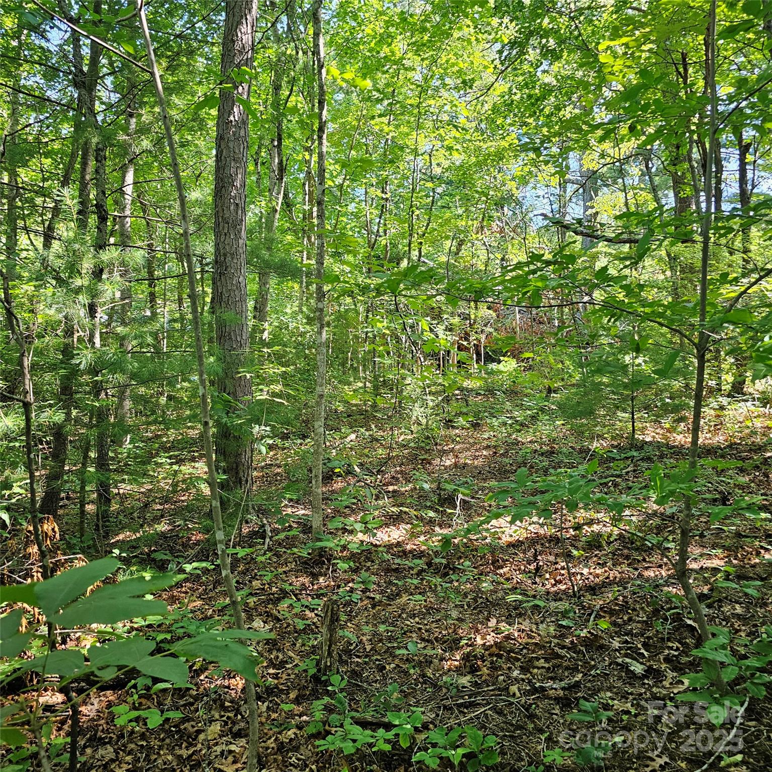 99999 Campground Road