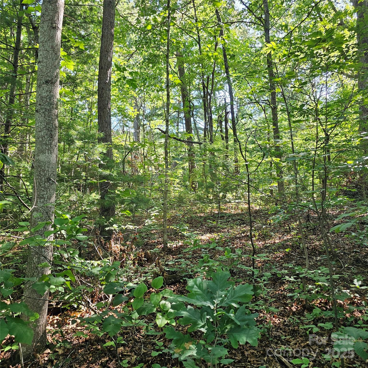 99999 Campground Road