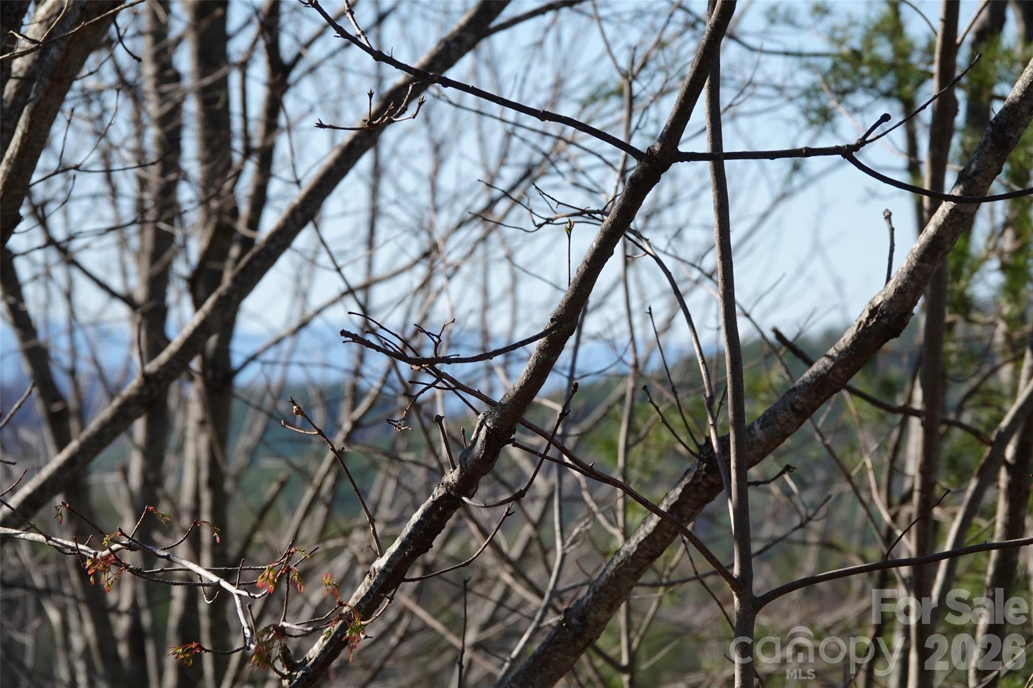 South Mountain Peaks - Land