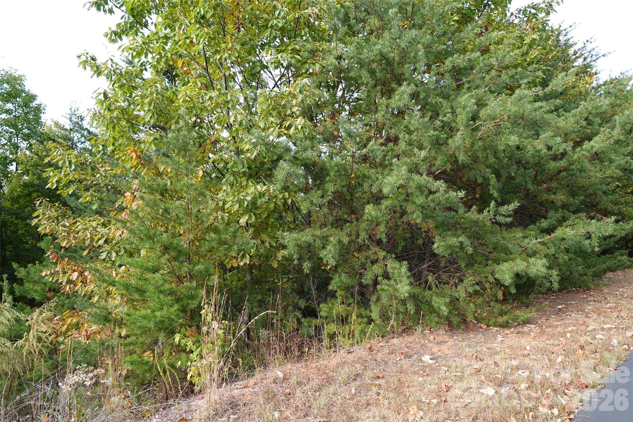 South Mountain Peaks - Land