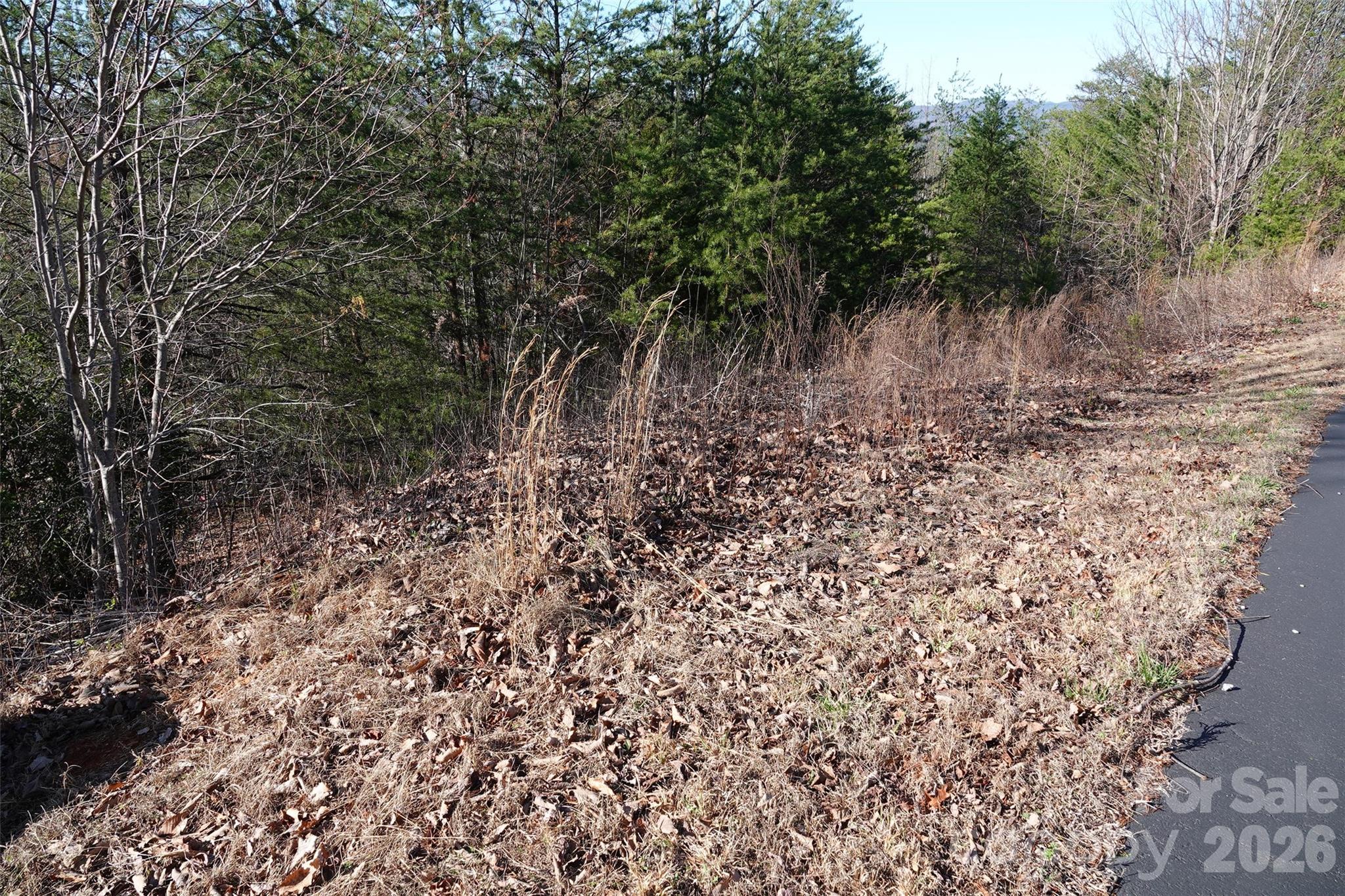 South Mountain Peaks - Land