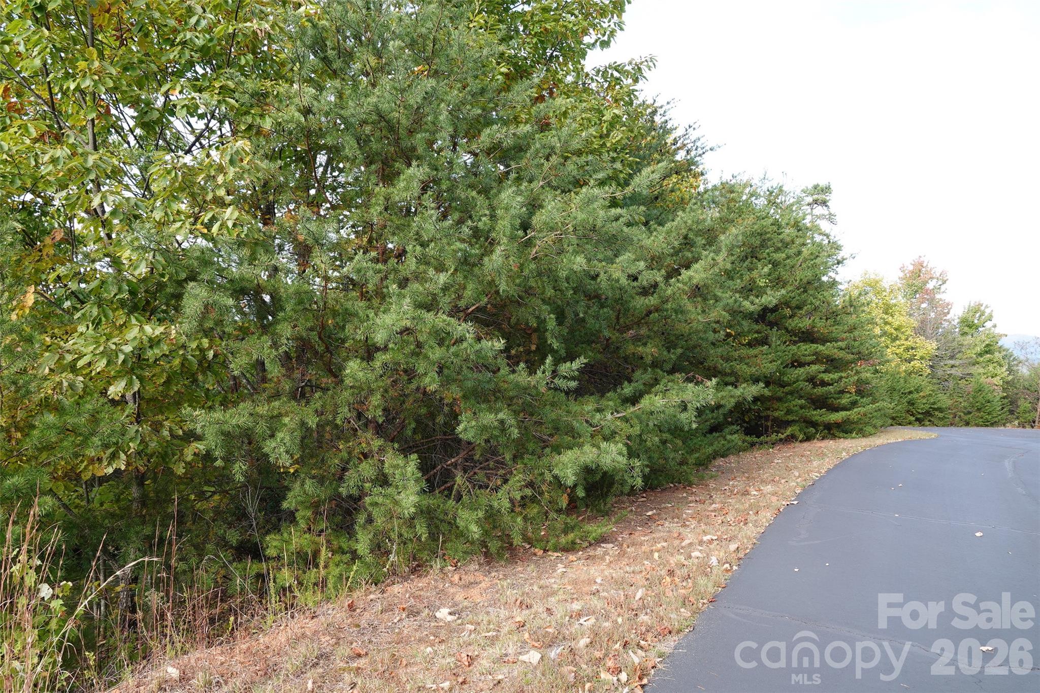 South Mountain Peaks - Land